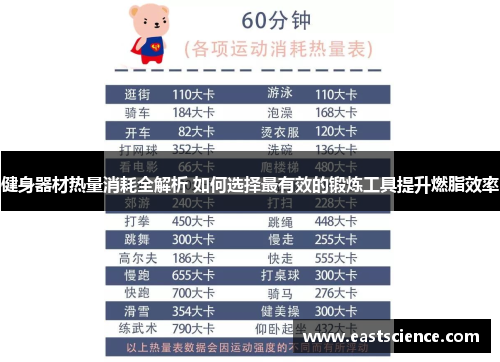 健身器材热量消耗全解析 如何选择最有效的锻炼工具提升燃脂效率