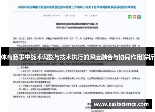 体育赛事中战术调整与技术执行的深度融合与协同作用解析